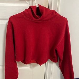 Aritzia Cropped TNA Hoodie